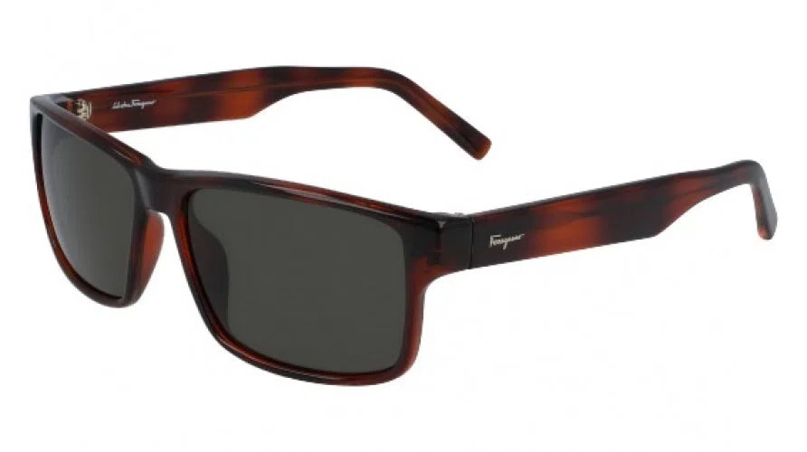 Salvatore Ferragamo SF960S Sunglasses - view 2
